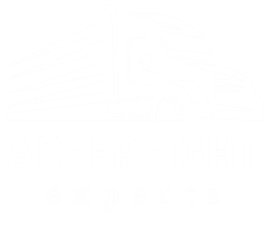Ace Freight Experts Logo